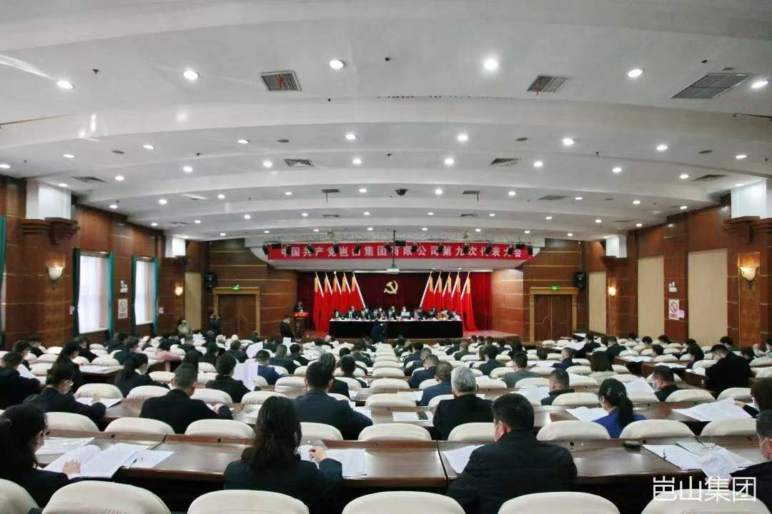 中共岜山集团有限公司第九次代表大会胜利召开